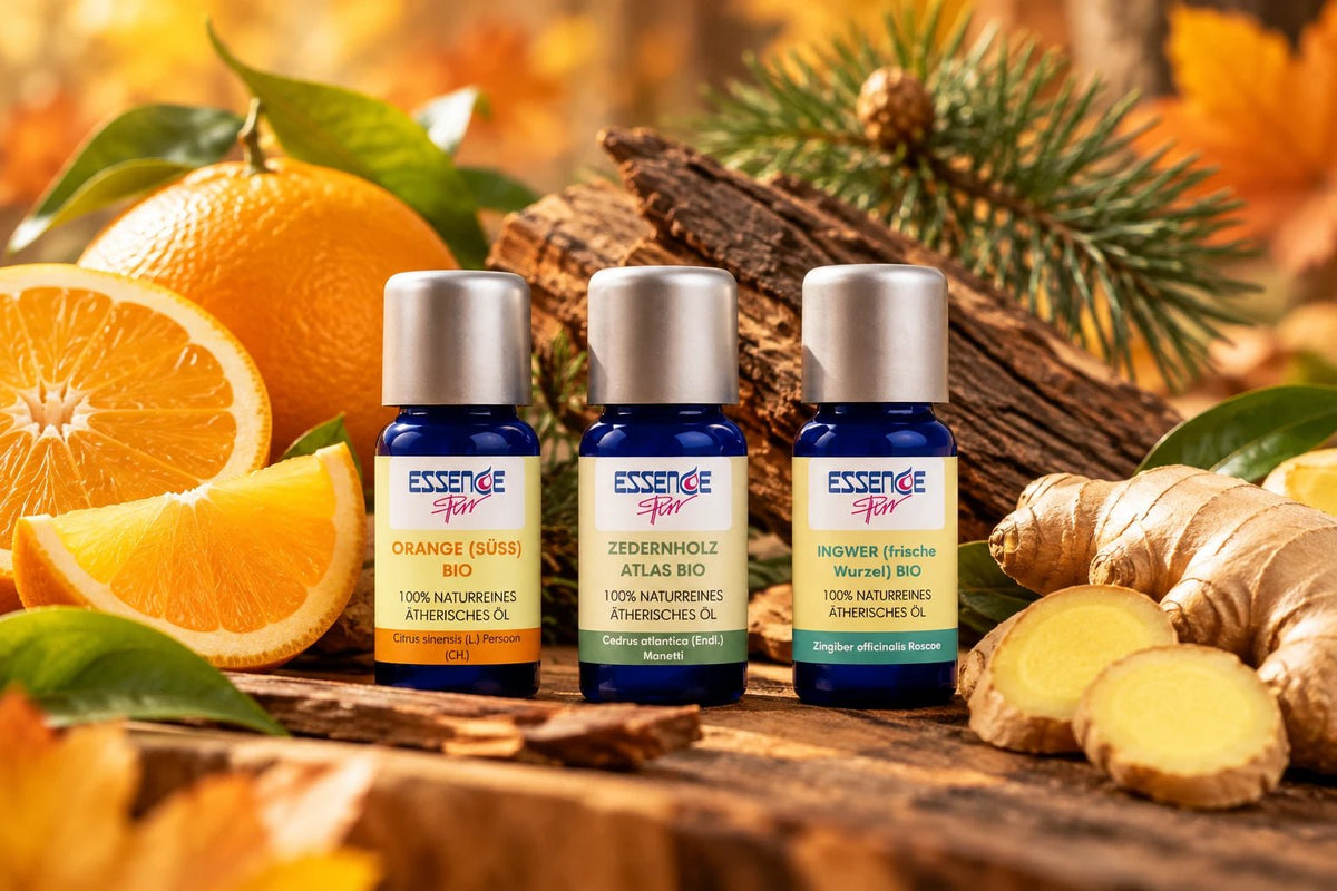 Goldener Herbst – Duftset mit 3 ätherischen Bio-Ölen - von ESSENCE-PUR | naturrein & hochwertig