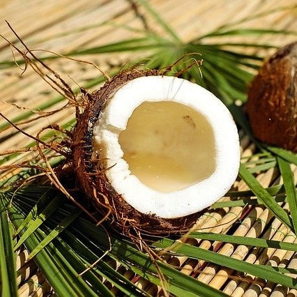 Geöffnete Kokosnuss mit frischem Kokoswasser, umgeben von grünen Palmblättern. Tropische Frische und pure Natur.