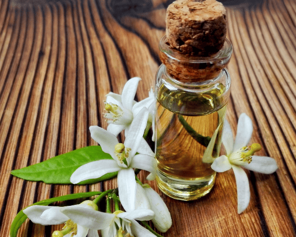 Neroliöl in Glasflasche mit Orangenblüten – naturreines ätherisches Öl aus Bitterorangenblüten