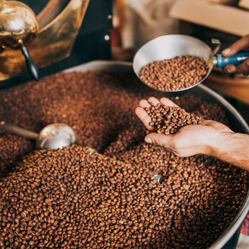 Bio Kaffeebohnenöl geröstet – kaltgepresst aus Brasilien & Äthiopien - von ESSENCE - PUR | naturrein & hochwertig
