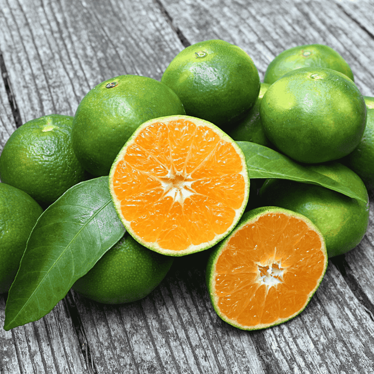Aufgeschnittene grüne Mandarinen mit leuchtend orangem Fruchtfleisch und Blättern auf einem Holztisch – Darstellung der grünen Varietät für ätherisches Mandarinenöl.
