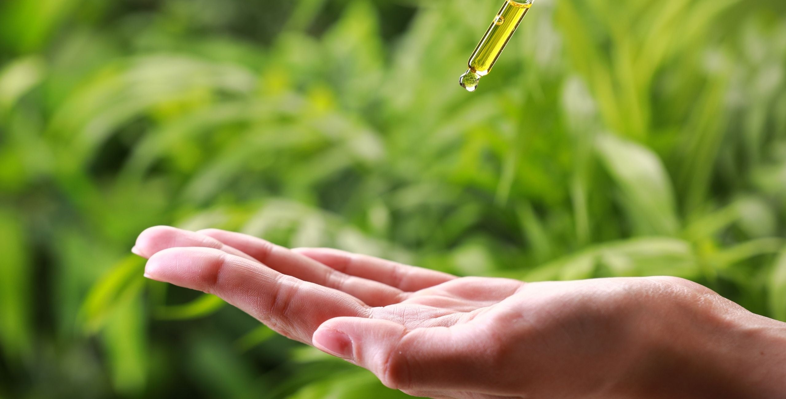 Handfläche empfängt einen Tropfen ätherischen Öls aus einer Pipette, im Hintergrund grüne Pflanzen – Symbol für sanfte und natürliche Hautanwendung