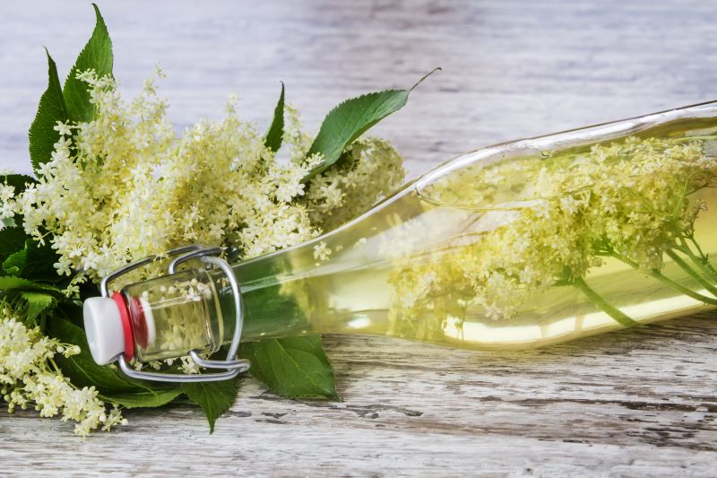 Frische Holunderblüten mit einer Glasflasche Holunderblütenhydrolat auf rustikalem Holzuntergrund – Sinnbild für Natürlichkeit und florale Reinheit.