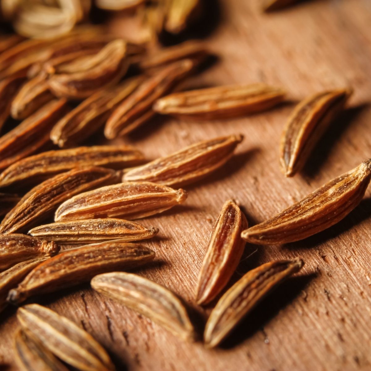 Kreuzkümmelöl bio | Ätherisches Öl (Cuminum cyminum) aus Ägypten - von ESSENCE-PUR | naturrein & hochwertig