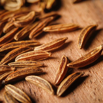 Kreuzkümmelöl bio | Ätherisches Öl (Cuminum cyminum) aus Ägypten - von ESSENCE-PUR | naturrein & hochwertig