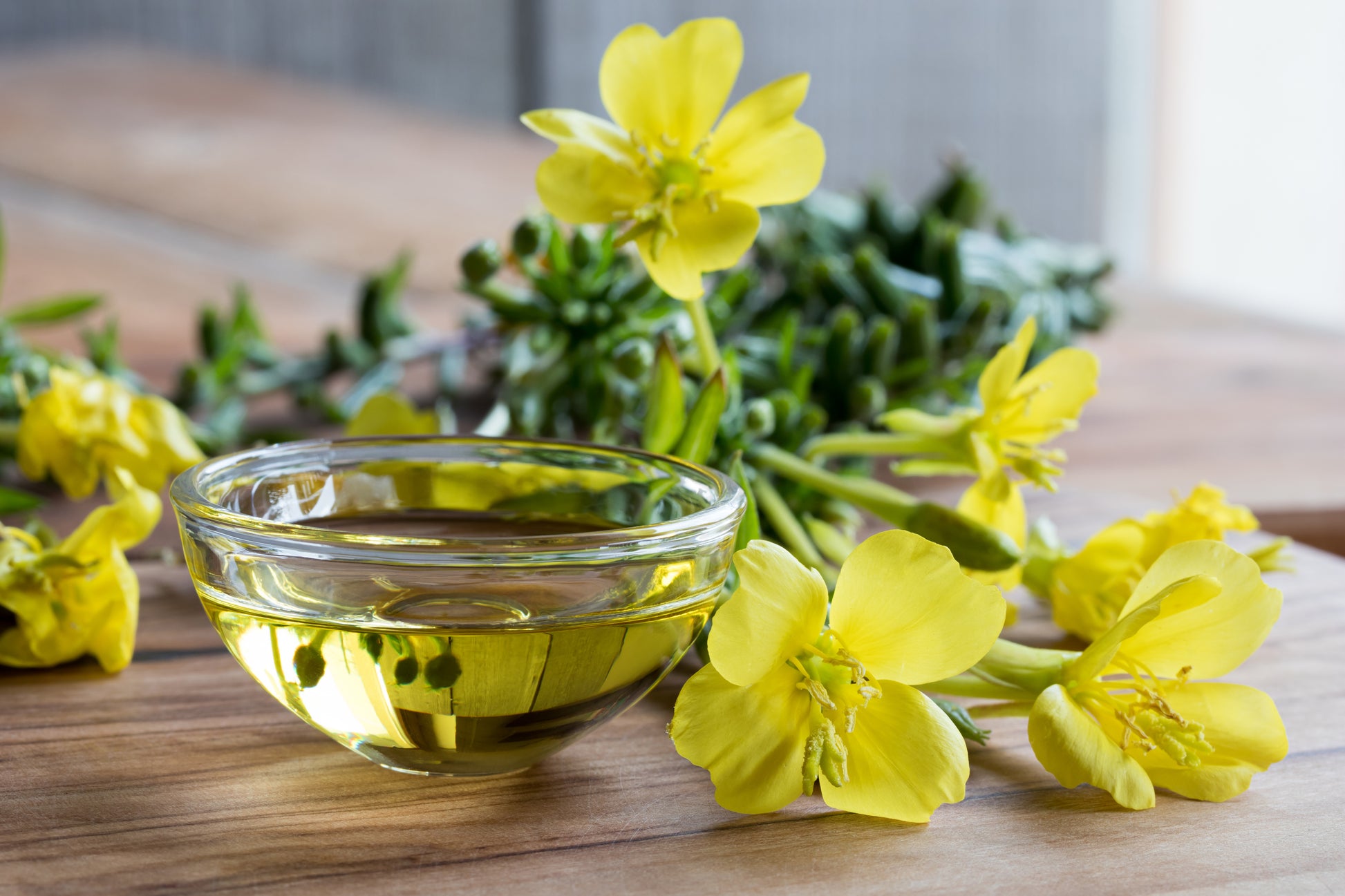 Schale mit Nachtkerzenöl und gelben Blüten der Oenothera biennis auf Holztisch