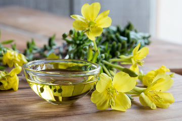 Nachtkerzenöl nativ bio - kaltgepresst - von ESSENCE - PUR | naturrein & hochwertig
