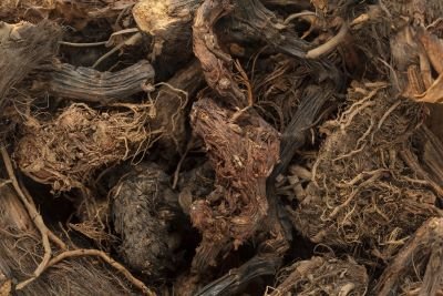 Getrocknete Wurzeln der wild wachsenden Himalaya-Narde (Nardostachys grandiflora), aus denen das kostbare naturreine ätherische Nardenöl gewonnen wird.