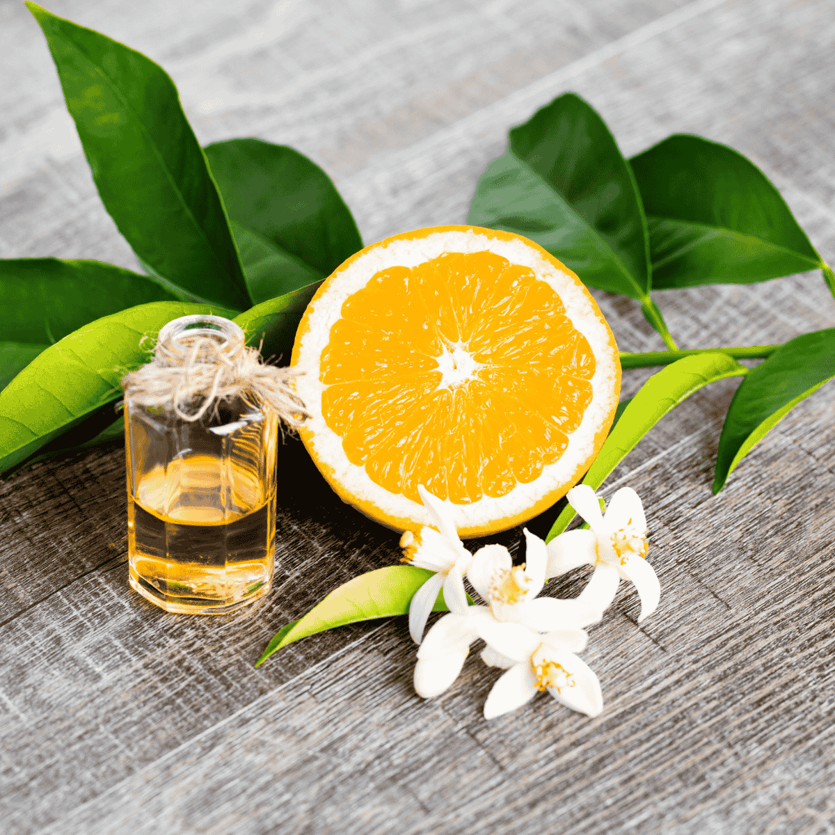 Fläschchen Neroliöl mit halbierter Orange und Orangenblüten – Symbol für die traditionelle Nutzung in Parfümerie und Aromapflege