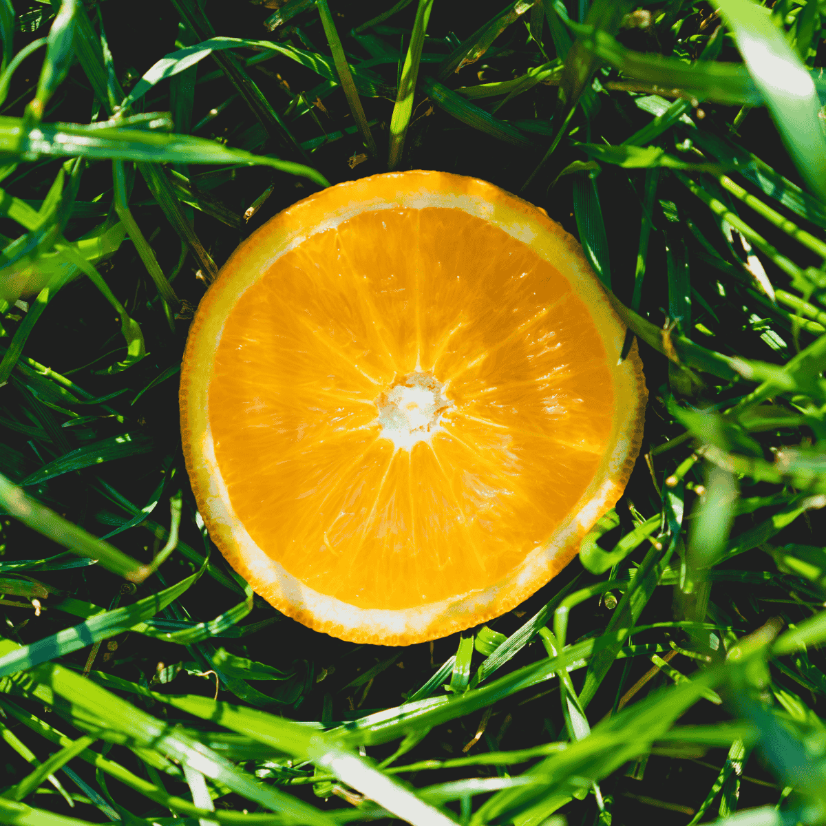 Halbe Orange im grünen Gras – Symbol für Frische und Natürlichkeit des Orangenöls