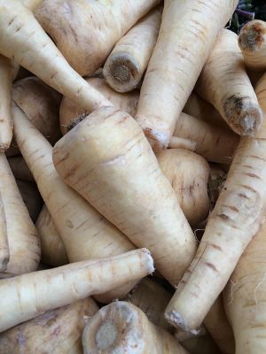 Pastinak (ätherisches Öl) - von ESSENCE - PUR | naturrein & hochwertig