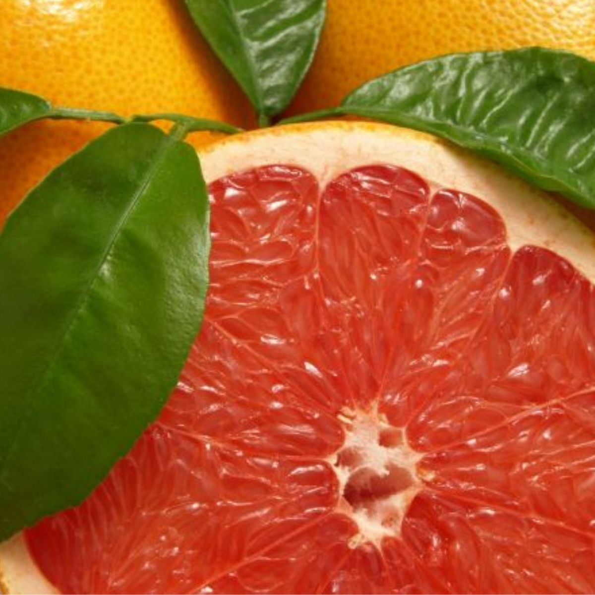 Pink Grapefruit Öl – Citrus paradisi (ätherisches Öl) - von ESSENCE-PUR | naturrein & hochwertig