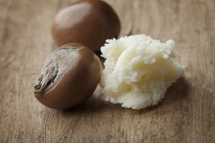 Sheanüsse zur Herstellung von Sheabutter bio