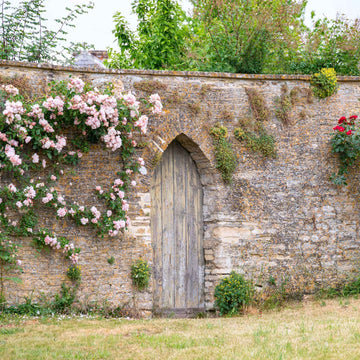 Secret Garden Airspray - von ESSENCE - PUR | naturrein & hochwertig