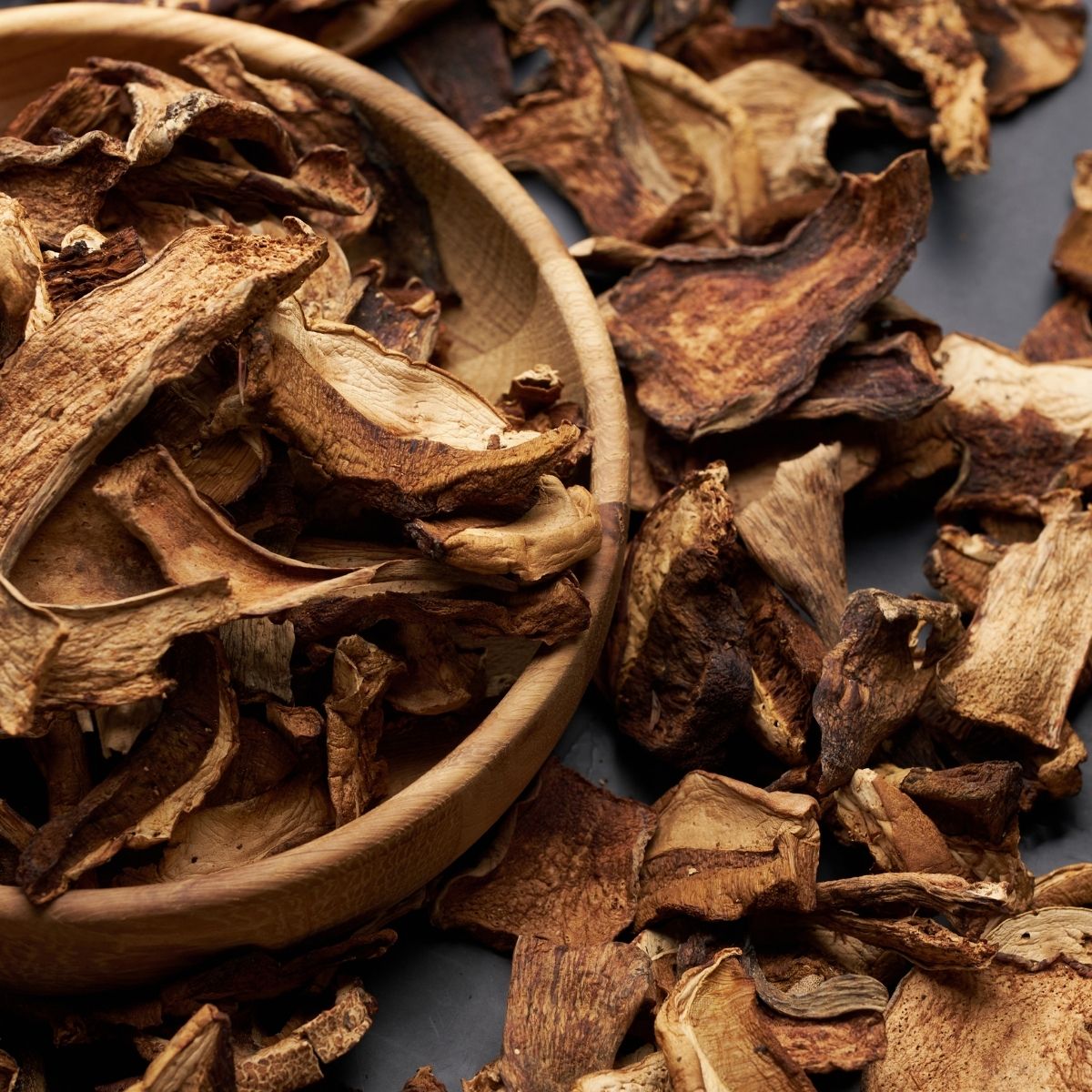 Steinpilz Absolue 10% (Bio - Alkoholverdünnung) - von ESSENCE - PUR | naturrein & hochwertig