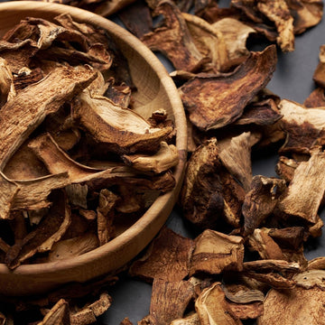 Steinpilz Absolue 10% (Bio - Alkoholverdünnung) - von ESSENCE - PUR | naturrein & hochwertig