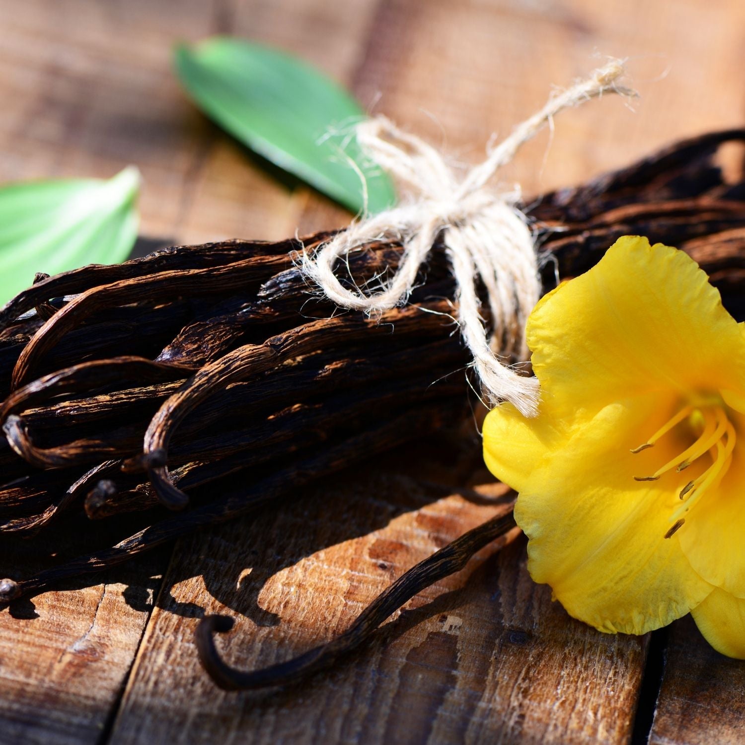 Vanille Bourbon Absolue 100% - von ESSENCE - PUR | naturrein & hochwertig