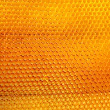 Bio - Bienenwachs Absolue 50% (Bio - Alkoholverdünnung) - von ESSENCE - PUR | naturrein & hochwertig