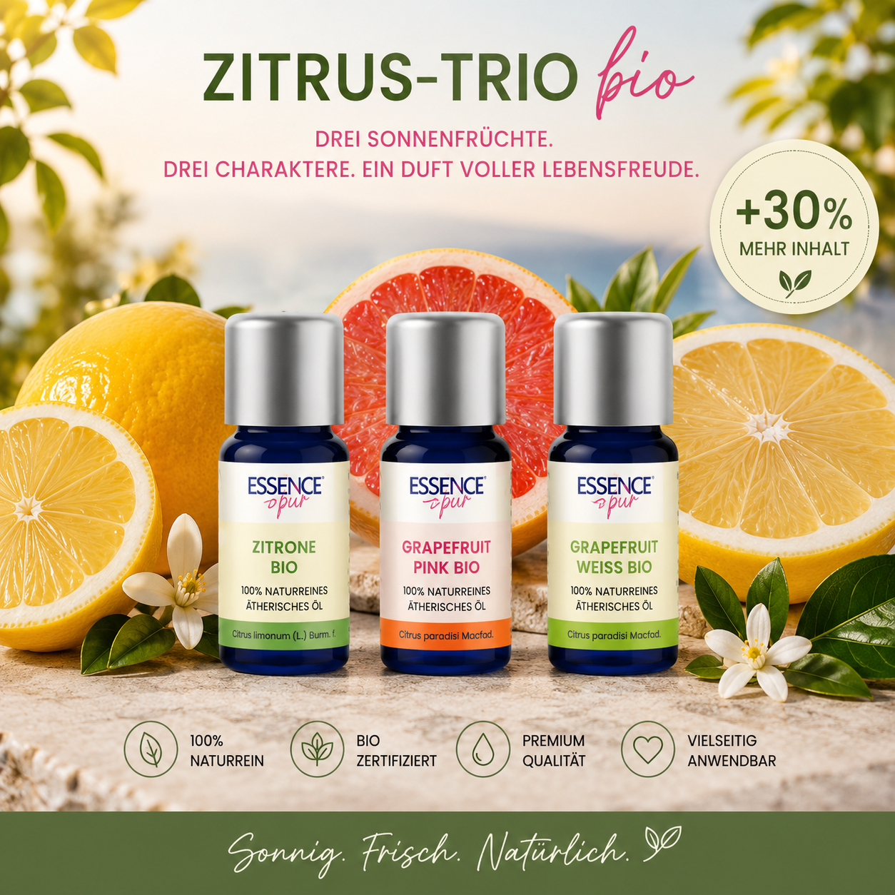 Zitrus-Trio bio 🍊 Blutorange, Grapefruit Weiß & Zitrone | +30 % mehr Inhalt