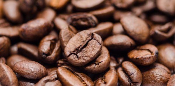 Kaffeebohnen zur Gewinnung von Kaffee absolue 100%