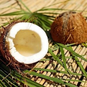 Kokosnuss zur Herstellung von Kokosöl virgin bio (kaltgepresst)