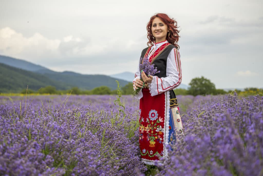 Bulgarische Frau in Tracht in Lavendelfeld zu Gewinnung von Lavendelöl fein Bulgarien bio