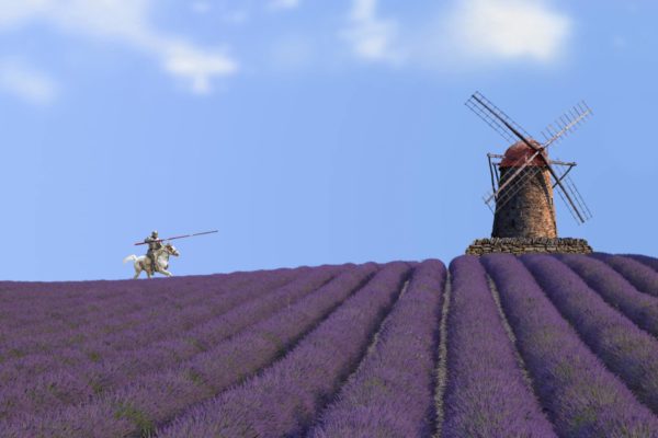 Lavendelfeld in Spanien mit Don Quijote gegen die Windmühle; Gewinnung von Lavendel Spanien bio ätherisches Öl