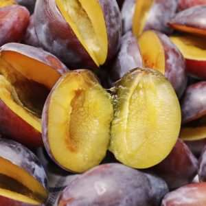 Pflaumenkerne zur Gewinnung von Pflaumenkernöl nativ bio