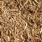 Agarwood