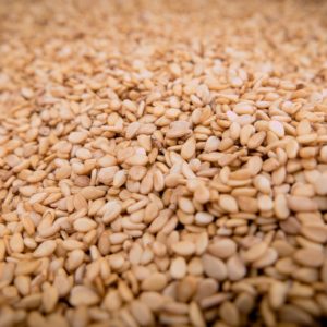 Sesamsamen zur Gewinnung von Sesamöl nativ gereift bio