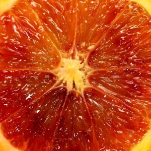 Blutorange_blood-orange zur Gewinnung von Blutorangenöl bio