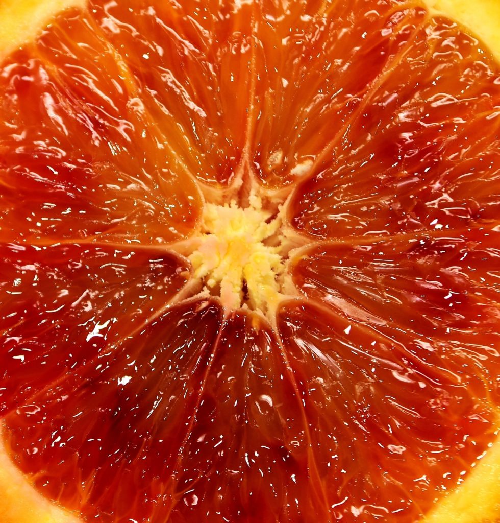 Blutorange_blood-orange zur Gewinnung von Blutorangenöl bio