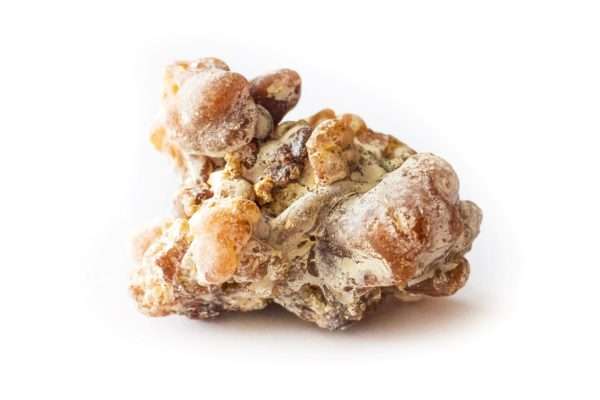 Harz des Copaiba Baumes zu Gewinnung von Copaiba Öl (ätherisches Öl)