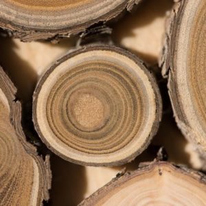 Sandelholz zur Herstellung von Sandelholz Royal Hawaiian 50% (Alkoholverdünnung)
