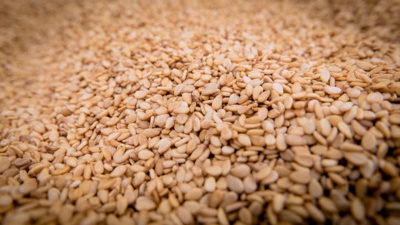 Sesamsamen zur Gewinnung von Sesamöl bio (nativ gerift)
