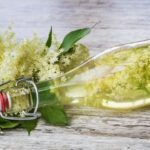 Holunderblüten zur Gewinnung von Holunderblütenhydrolat bio