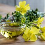 Evening primrose zur Gewinnung von Nachtkerzenöl nativ bio - kaltgepresst