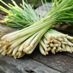 Frisch geerntetes Gingergras (Cymbopogon martinii) gebündelt auf rustikalem Holztisch – aromatische Heilpflanze mit zitronigem Duftprofil, traditionell genutzt für ätherisches Öl.