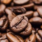 Kaffeebohnen zur Gewinnung von Kaffee absolue 100%