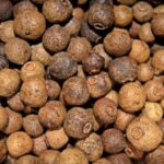 Pimentbeeren-allspice zur Gewinnung von Pimentbeerenöl Jamaika (ätherisches Öl)